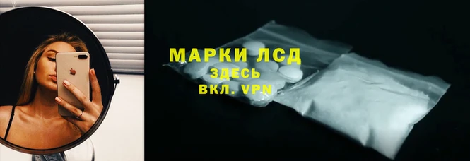 стафф Касимов