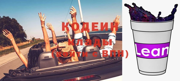 скорость Каменногорск