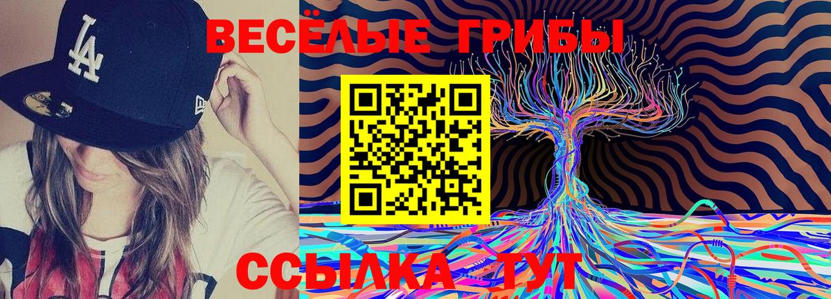 Псилоцибиновые грибы GOLDEN TEACHER  Вход с VPN  купить наркотики цена  Галлюциногенные грибы GOLDEN TEACHER  Соль-Илецк 