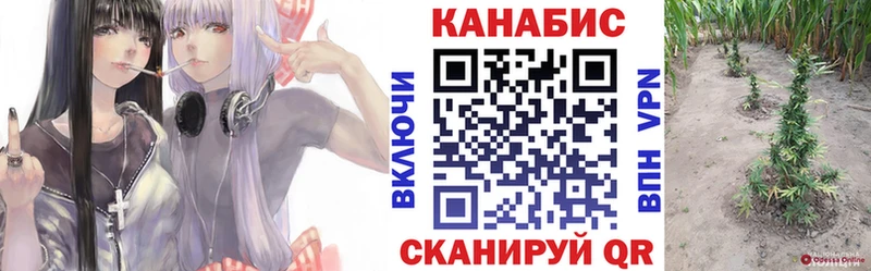Марихуана THC 21%  hydra вход  Соль-Илецк  продажа наркотиков 